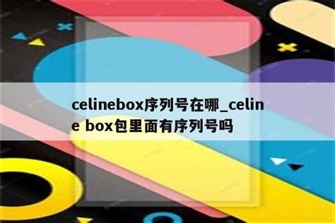 celine box 中 号 还是 小 号|Celine box 此生必入 .